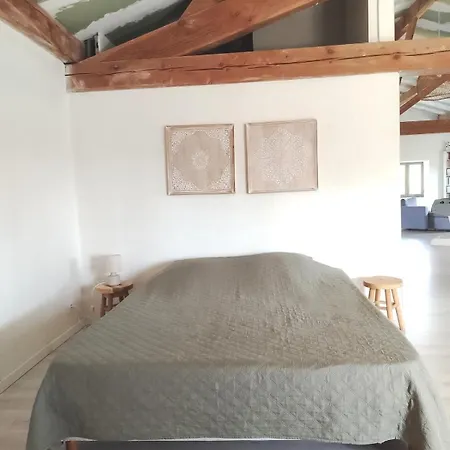 Villa Maison Près Des Cévennes Avec Piscine Pour 10 Personnes *